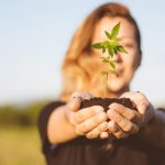 Kannabisz történetek a szekrény mélyéről