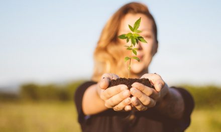Kannabisz történetek a szekrény mélyéről